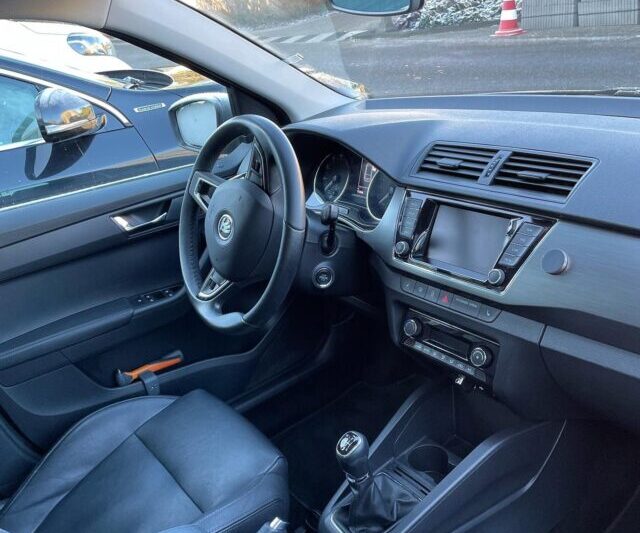 Schimmelreiniging voor je auto: waarom je dit deze winter moet laten doen!